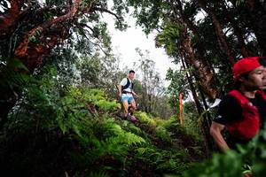 BIB: 
                            <button type="button" onclick="openModal(26203595)" class="btn btn-primary btn-sm float-right btn-popup" data-toggle="modal" data-target=".modal-high-quality">
                        <i class="fas fa-shopping-cart"></i> Add to Cart
                    </button>
                                            <button type="button" onclick="isThisMe(26203595, true)" class="btn btn-success btn-sm float-right btn-popup btn-isme hidden" data-toggle="tooltip" data-placement="bottom" title="นี่คือรูปของคุณใช่ไหม คลิกที่นี่เพื่อเอาเข้าอัลบั้ม">
                        <i class="fas fa-plus"></i> Add to album
                    </button>
                    <button type="button" onclick="isThisMe(26203595, false)" class="btn btn-warning btn-sm float-right btn-popup btn-isnotme hidden">
                        <i class="fas fa-ban"></i> Remove from album
                    </button>